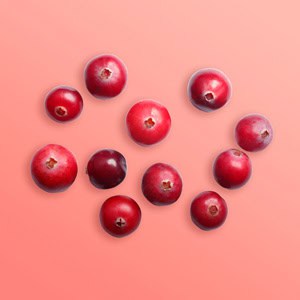Organic Vaccinium Macrocarpon Seed Oil