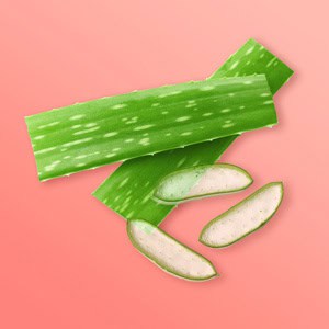 Organic Aloe Vera